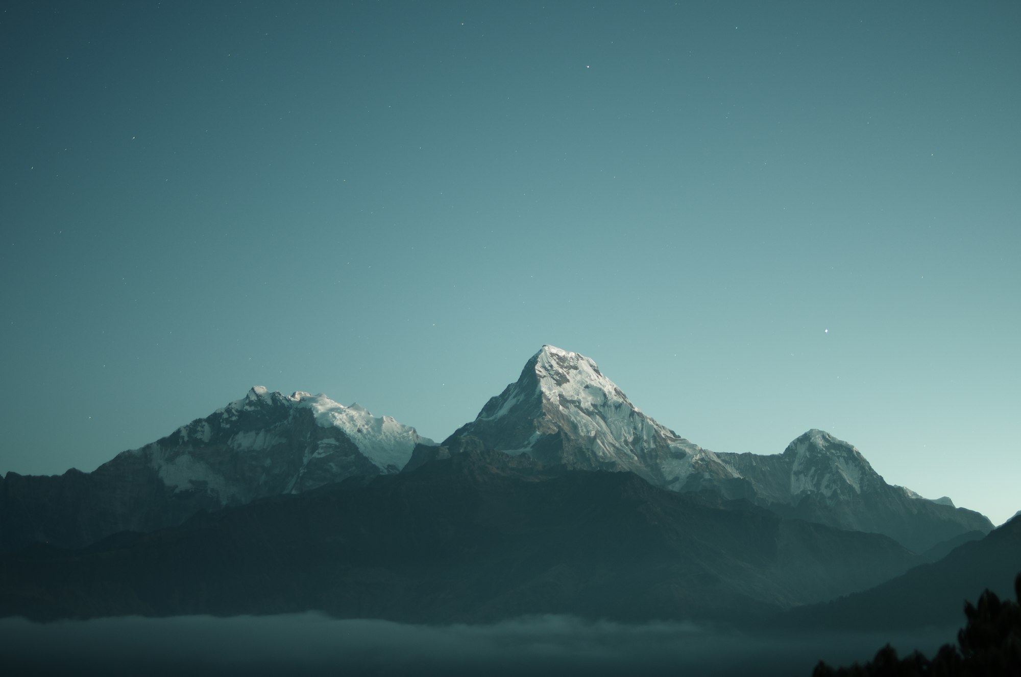 Snow-capped peaks rising above a bank of mist